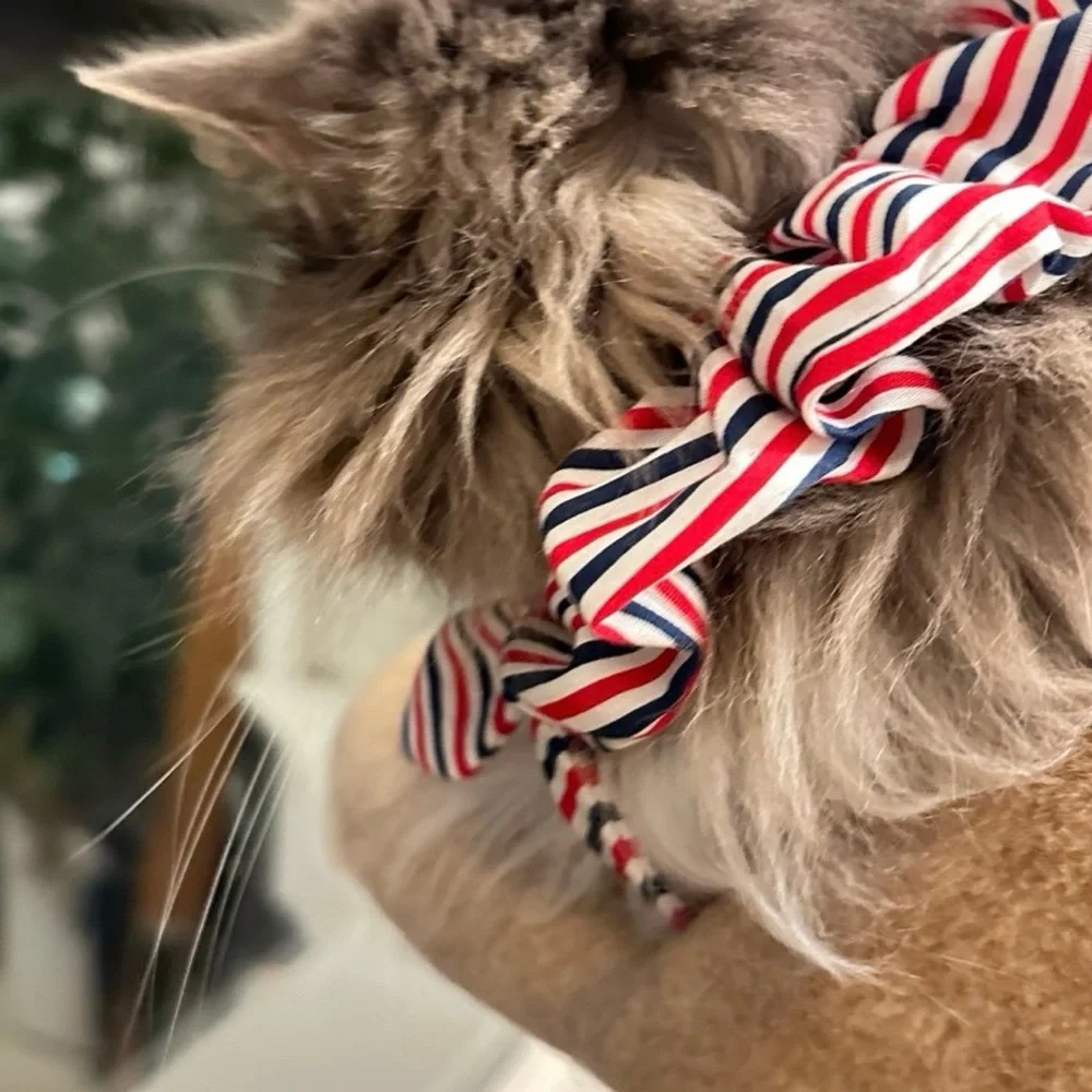 Striped Red, White, and Blue Cat Bow Tie